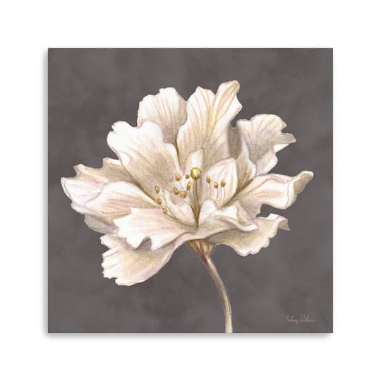 Cream Willow Blossom I Canvas Giclee